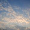 埜鶴閑雲