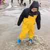 兰瑟