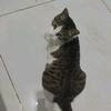 北筑（三角洲行动）