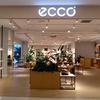 Ecco北国店👈