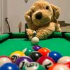 台球王中王