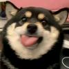 小凯学长（私信进新生裙）