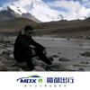 惠买车的强哥【沪牌专家】