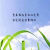 余生～随心