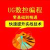 UG编程课堂（15：00直播）