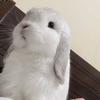 初禾电竞
