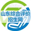 山东综合评价招生网