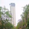 小星星啊