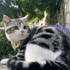 爱娃爱猫爱自己