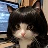 钢铁萌心