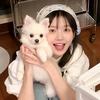 我看了56次日落