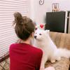 爱挖宝的小鱼