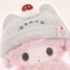 一只猫.