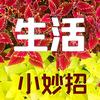 生活小助手