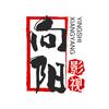 向阳影视
