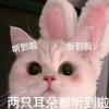 美味鸡蛋糕