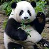 一伙