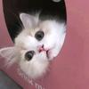 你是谁呀
