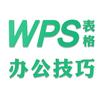 成都WPS办公软件电脑培训教学