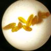 科学实验室