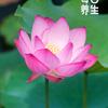 美食团购