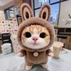 喵喵菌