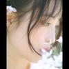 安琴 百货444