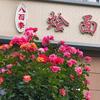 八百李烩面泡馍羊肉汤·鲜炒鸡官方号