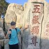 小阿伟安装
