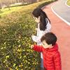 桃汽泡泡