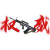 无邪三角洲(护航看主页)