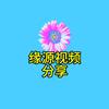 缘源视频分享