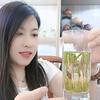 嘉茗茶业