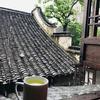 听雨荡童心
