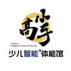 小高手少儿体能全国联赛