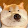 啦啦啦