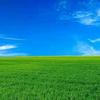 喜 悦