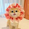 猫想上岸