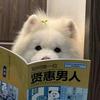 衍.
