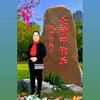 凤姐剪辑