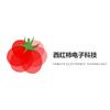 西红柿电子科技