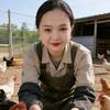 婷婷养鸡实战