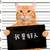 打脸爽剧馆