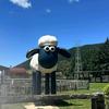 咩～同学