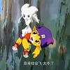 小智也玩洛克