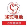 满天星