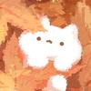 初弦