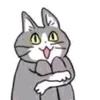 不知名网友Neko