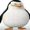 ¿¿