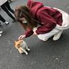 九江小丁老师「宠物美容培训」